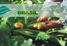 Agricultura terá nova organizadora para concurso com 736 vagas