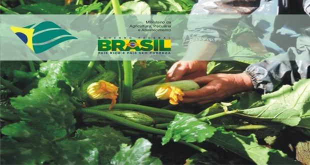 Agricultura terá nova organizadora para concurso com 736 vagas Agricultura terá nova organizadora para concurso com 736 vagas