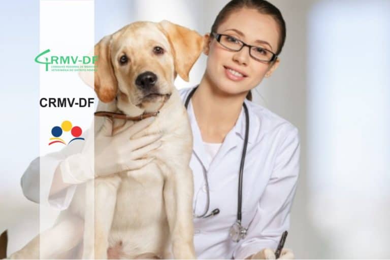 Concurso CRMV-DF 2017: Saiu o edital para cargos de nível médio Concurso CRMV-DF 2017: Saiu o edital para cargos de nível médio