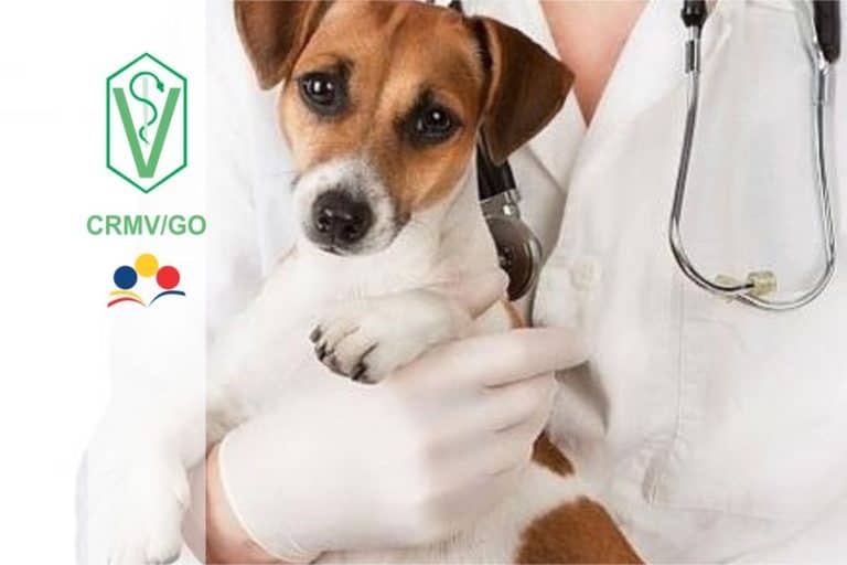 Concurso CRMV GO 2018: Quadrix divulga Resultado Definitivo da Prova de Redação Concurso CRMV GO 2018: Quadrix divulga Resultado Definitivo da Prova de Redação