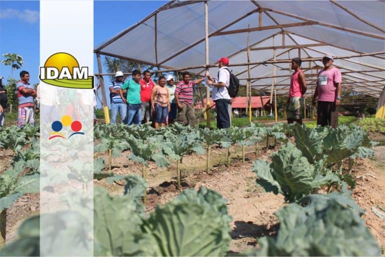 Concurso IDAM: Inscrições ENCERRAM hoje (30/01) para 227 vagas Concurso IDAM: Inscrições ENCERRAM hoje (30/01) para 227 vagas