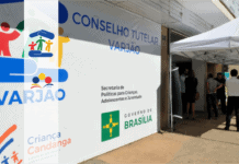 Conselho Tutelar DF 2019