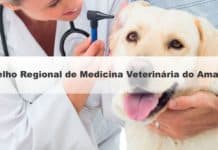 Concurso CRMV AM 2019