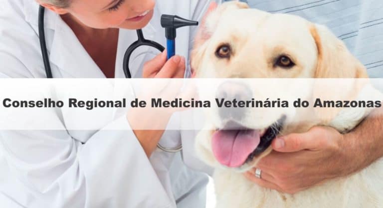 Concurso CRMV AM 2019: Inscrições Abertas para 100 vagas Concurso CRMV AM 2019: Inscrições Abertas para 100 vagas