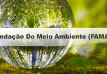 Concurso Fundação Do Meio Ambiente (FAMAP)