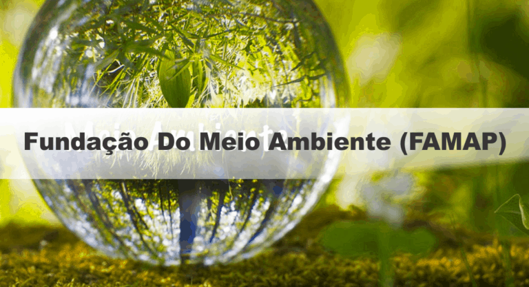 Concurso da FAMAP: Inscrições Abertas até 11 de agosto Concurso da FAMAP: Inscrições Abertas até 11 de agosto
