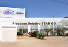 Processo Seletivo SEAD GO