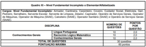 Quadro 11 concurso Prefeitura Formiga MG 300x98 - Concurso Prefeitura de Formiga-MG: Inscrições Abertas para 413 vagas de todos os níveis