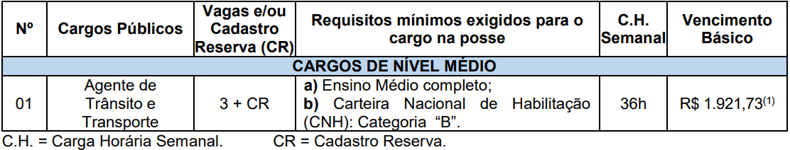 cargos concurso prefeitura de pelotas RS Agente de Transito - Concurso Prefeitura de Pelotas RS: Inscrições Abertas para Agente de Trânsito e Transporte