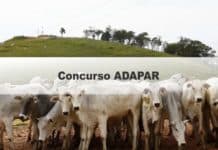 Concurso ADAPAR