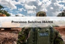 Processo Seletivo IBAMA 2020