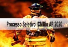 Processo Seletivo ICMBio AP 2020