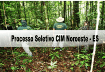 Processo Seletivo CIM Noroeste - ES