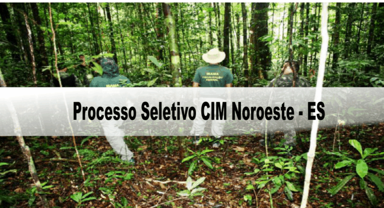 Processo Seletivo CIM Noroeste – ES: Inscrições encerradas Processo Seletivo CIM Noroeste – ES: Inscrições encerradas