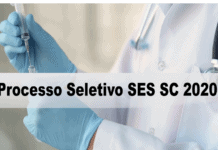 Processo Seletivo SES SC 2020