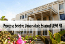 Processo Seletivo Universidade Estadual UEPG PR