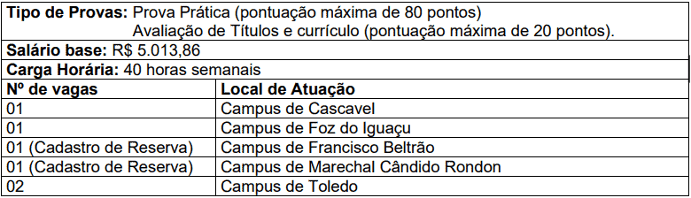 cargos 1 181 - Processo Seletivo Simplificado Unioeste - PR: Inscrições encerradas