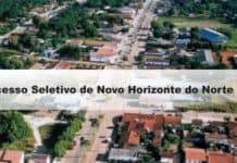 Processo Seletivo Prefeitura de Novo Horizonte do Norte-MT