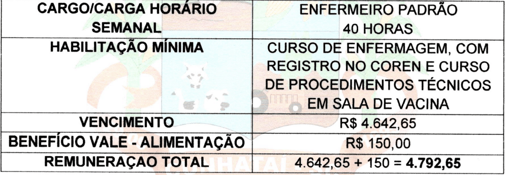 cargos 1 109 - Processo Seletivo Prefeitura de Cunhata&iacute;-SC