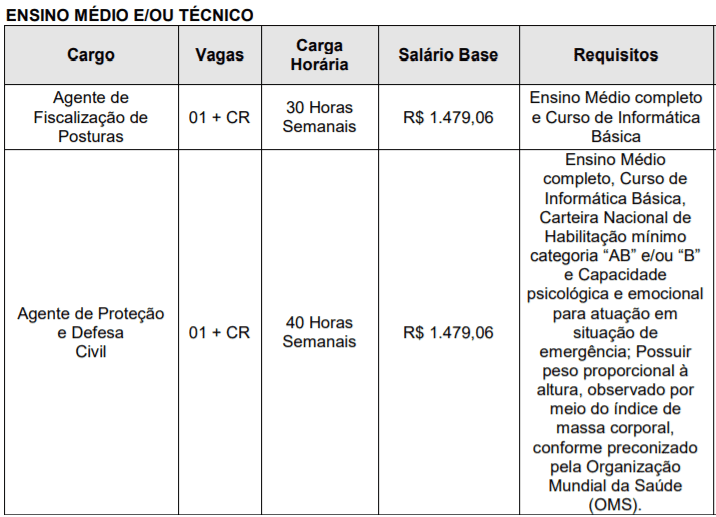 Captura de tela 2022 03 09 151311 - Concurso Público Prefeitura de Tubarão - SC: Inscrições encerradas