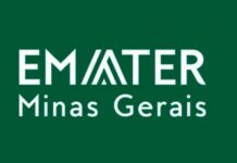 Concurso EMATER MG: até R$ 7,3 mil! Inscreva-se!